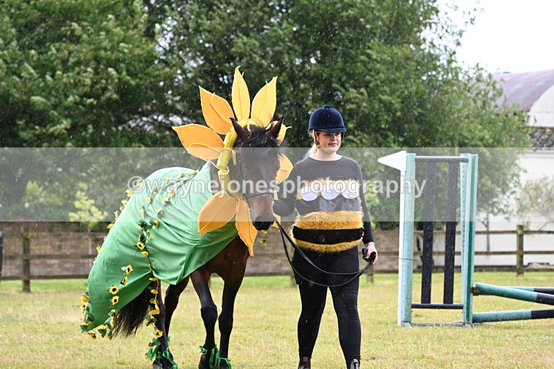 WJ6_9163 - Class 11 Fancy Dress