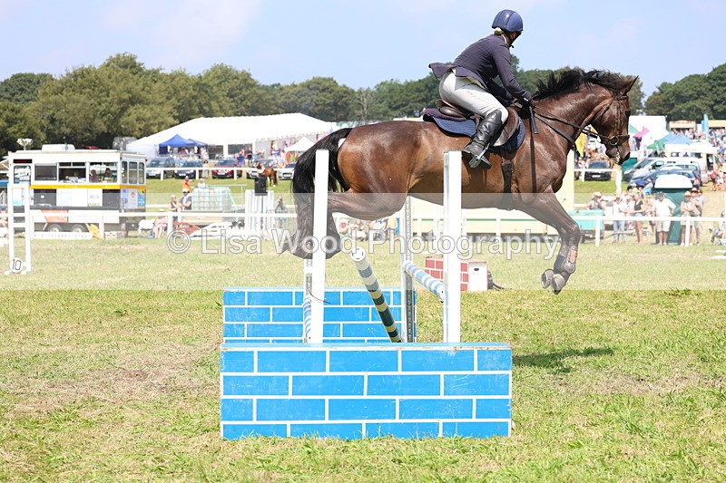 3E7A2959 - Class 7: Senior British Novice/90cm open