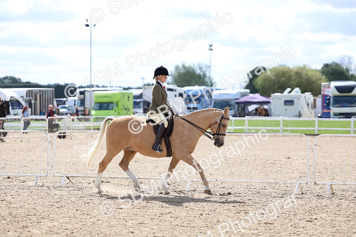 SBM_13258 - Class 311 - Ridden Show Pony Show Hunter Pony