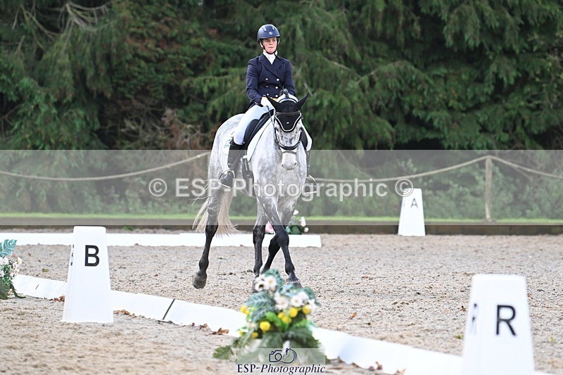 231019-094854-01222 - 028-BOLEYBAWN.COOLEY.LADY-Claire.Fielding-DR