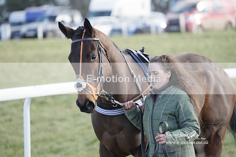 PtP 260223 991 - South & West Wilts Point-to-Point Larkhill 26/02/23