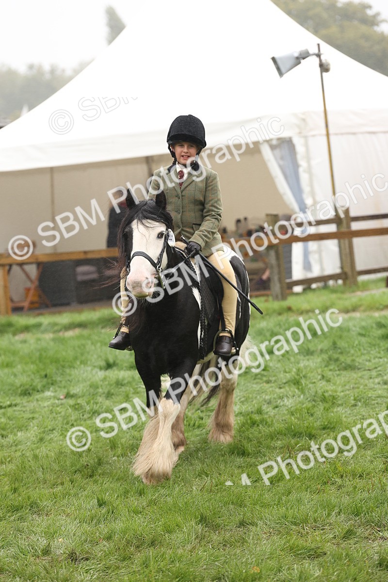 SBM_72847 - S70 - Traditional Cob Ridden