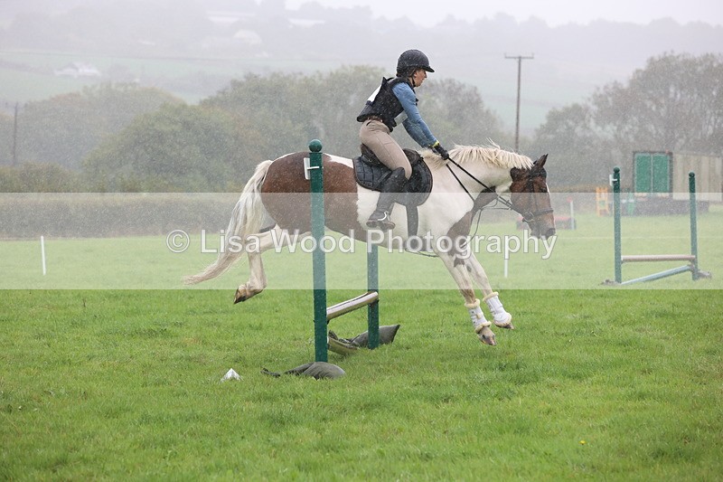 JPP_5052 - Class 1: 65cm : Showjumping