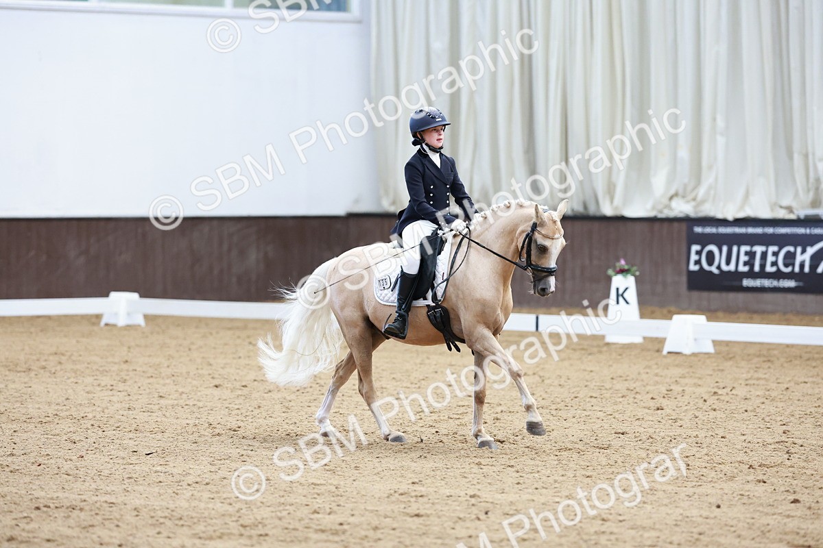 SBM_017399 - Class15 - FEI Pony
