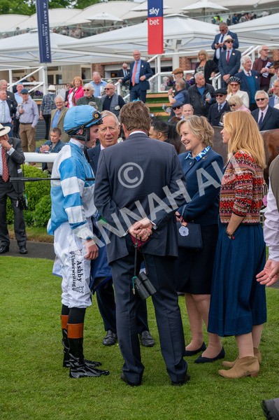 150525-Pride Of Arras-5553 - Race 4 3.45pm Al Basti Equiworld Dubai Dante Stakes