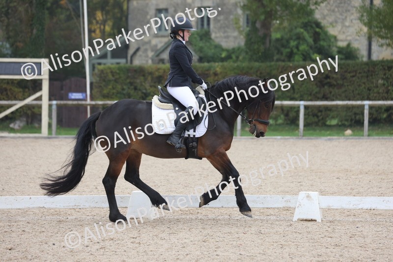 20251012-0535 - Class 4 - Novice 6