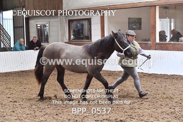 BPP_0537 - RING 1
