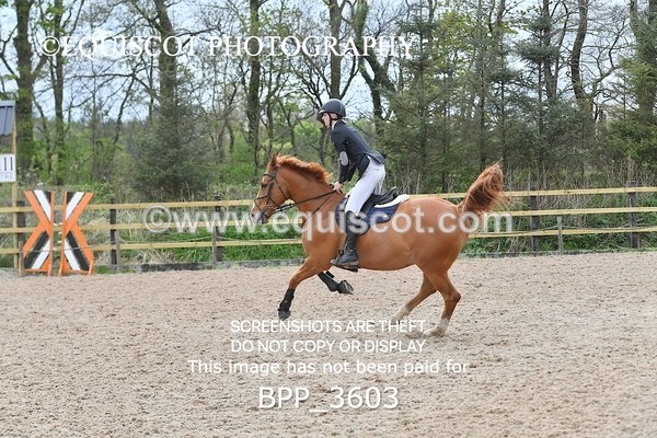 BPP_3603 - CLASS 18 SUN Senior Newcomers/ 1.10m Open