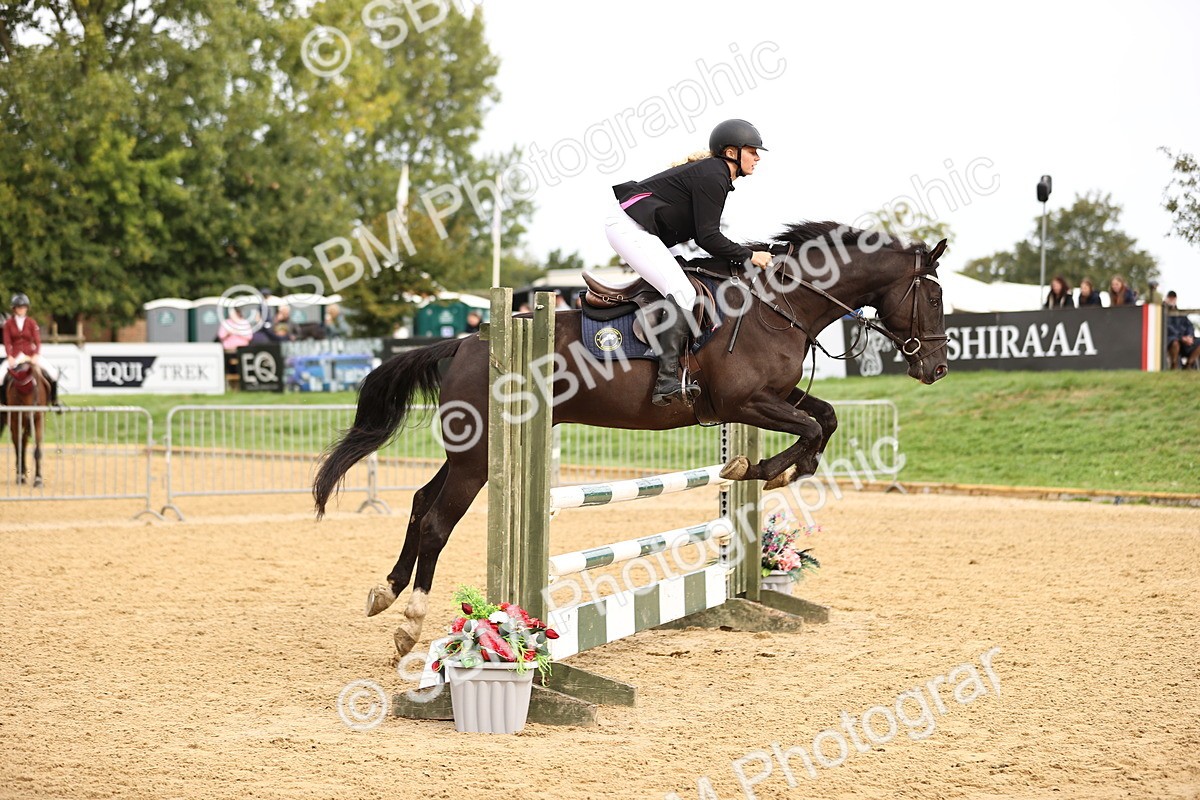 SBM_58487 - J41 - Grand Tour Horse & Pony 95cm