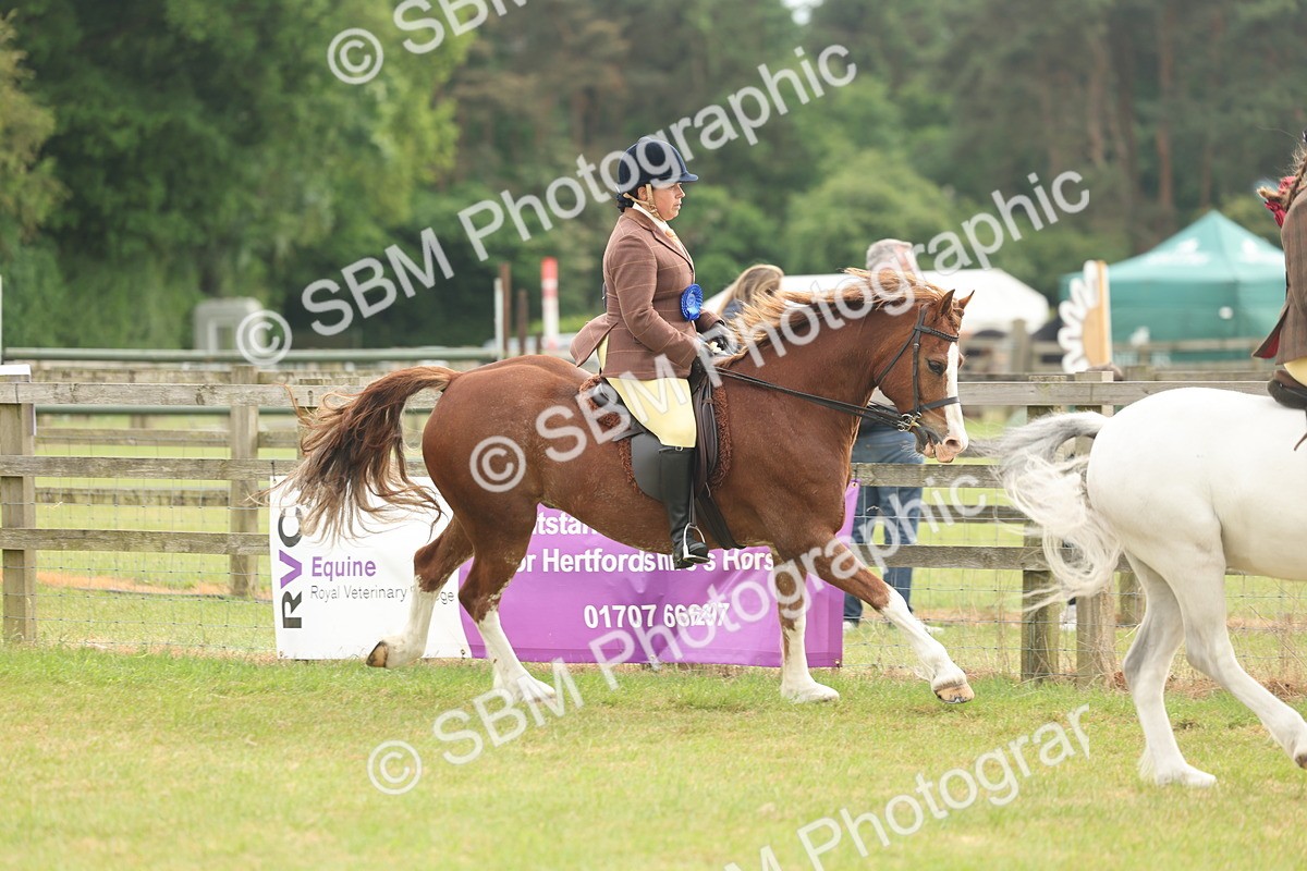 SBM_09134 - Class 78-80 - Ridden M&M Non Welsh Ponies