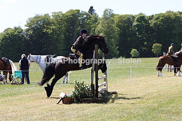 IMG_4290 - Working Hunter