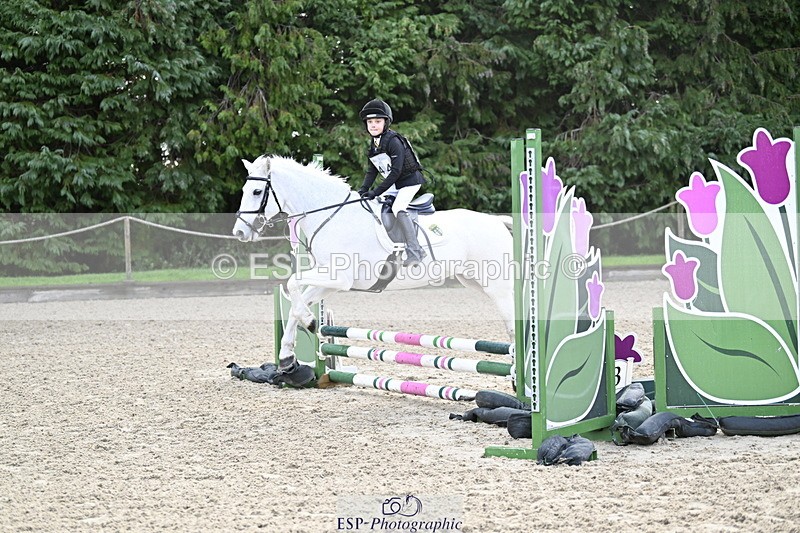 251005A-090526-02935 - Cls 02 GR 50cm