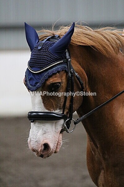 SIAL3839 - CAbin Dressage 5th july 2025