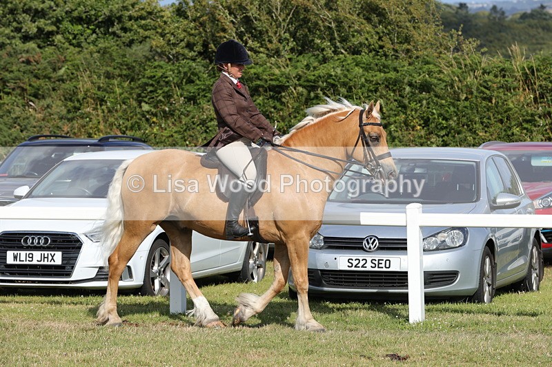 1X9A6020 - Class 43: NPS Welsh C & D