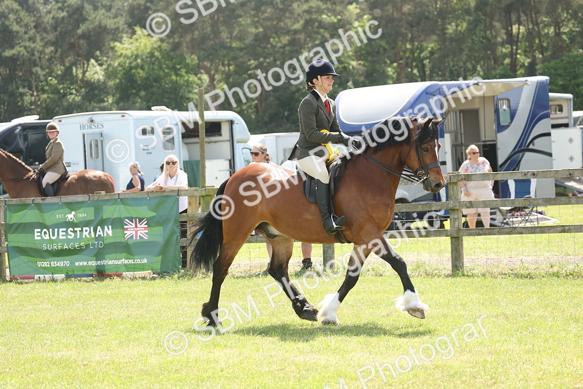 SBM_07012 - Class 26-30 - Mountain and Moorland Ridden