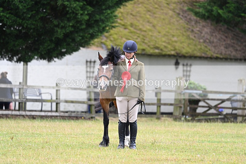WJ7_6407 - Class 4a Prettiest Mare over 14hh