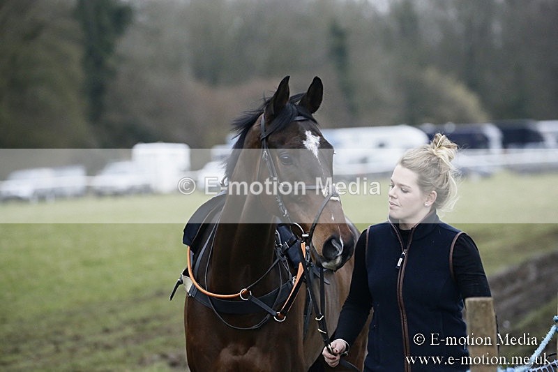 PtP 110318 202 - Hampshire Hunt Point-to-Point Hackwood Park 11/03/18