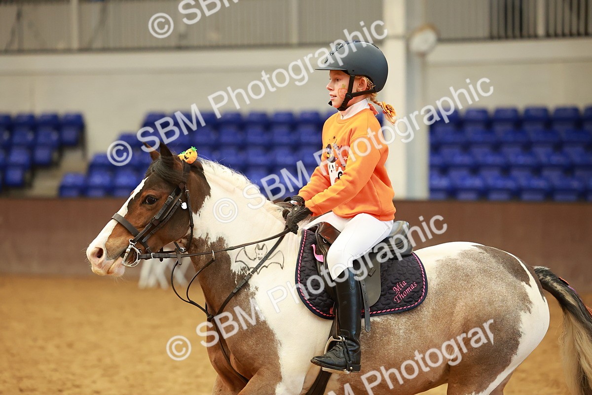 SBM_001119 - Class 2 - 50cm