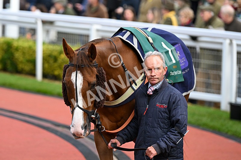 171124-Race 4-Paddock-Nassalam-3268 - Race 4