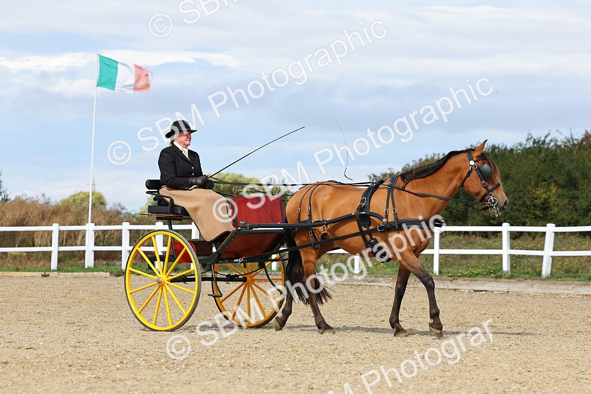 SBM_000867 - Class 8 - Novice Horse or Pony to any vehicle