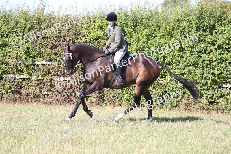 20260906-0413 - Class 14 - Ex Racehorse