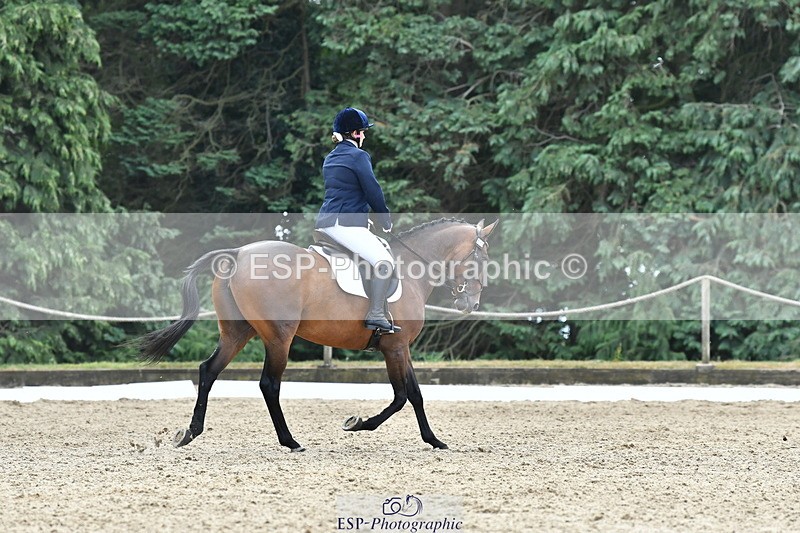 260801A-113928-03636 - Prelim Bronze Break - End