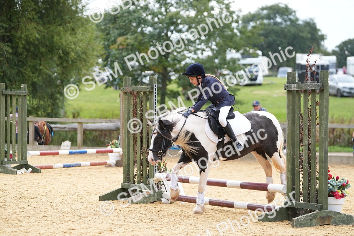 SBM_74772 - J4 - Mini Tour Junior Pony 45cm Championship