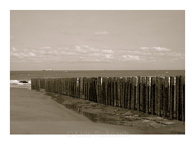  - Sea