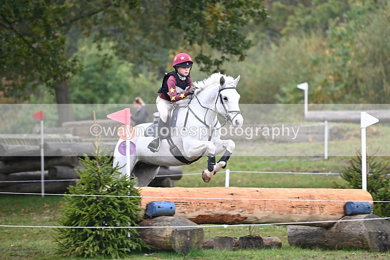 WJ6_2254 - 80cm Cam 1 Time 10:47 to 11:22