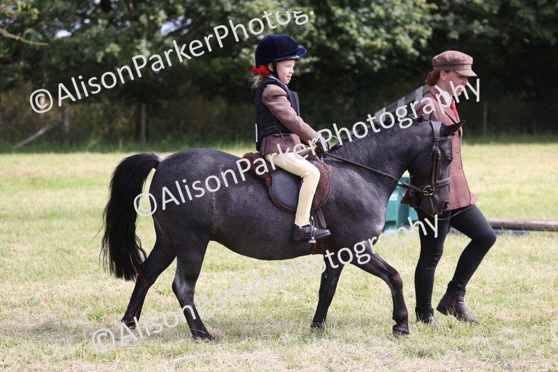 20260614-0586 - Class 20 - Beginners Working Hunter Pony