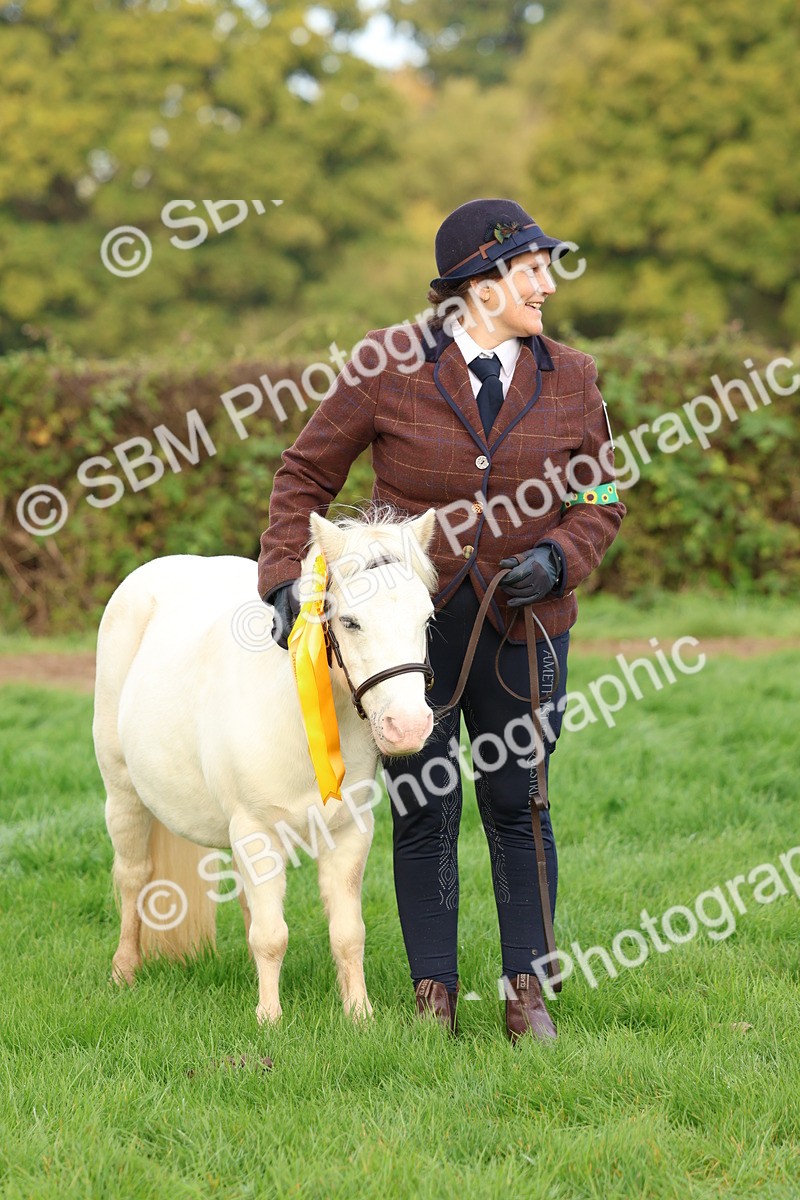 SBM_54911 - S39 - Starters In Hand Showing