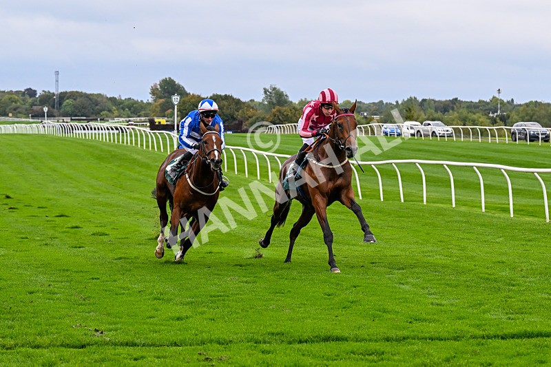 011025-Race 3-Real American-0245 - Race 3