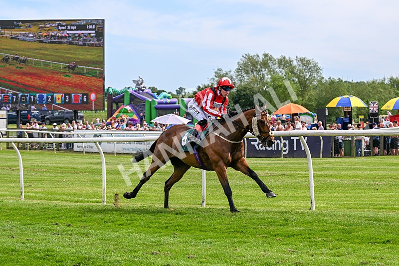 300526-Race 5-Holbache-0688 - Race 5 16.12pm Ann Whitehouse Memorial Veterans' Handicap