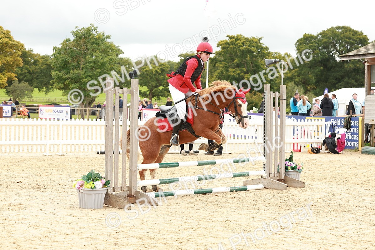 SBM_62071 - J12 - Junior Pony 55cm Championship