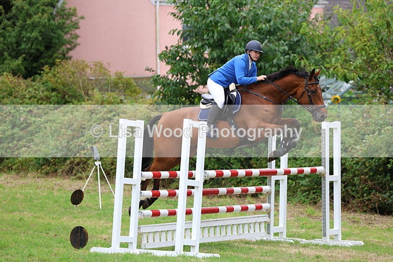 3E7A8391 - Class 8: Senior Foxhunter/1.20m open