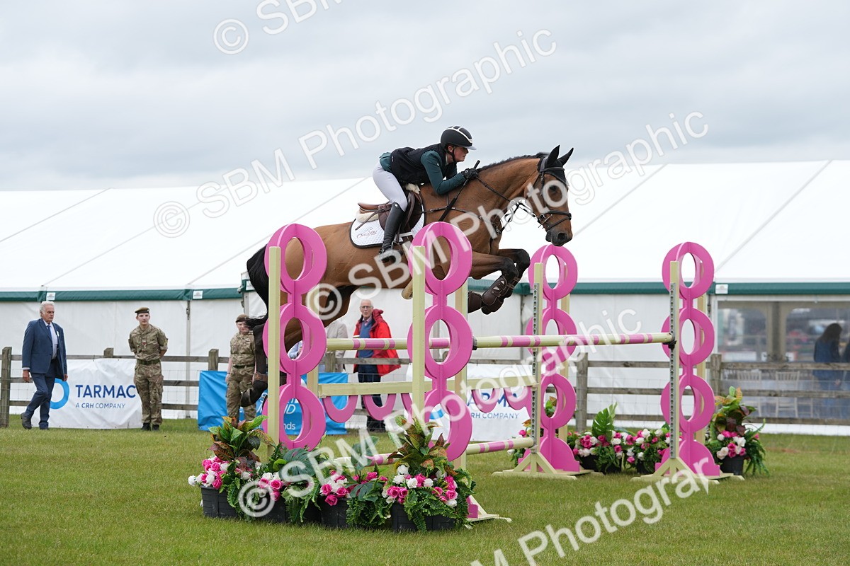 SBM_03487 - Class 201 - British Horse Feeds Speedi Beet Horse of the Year Show Grade  C