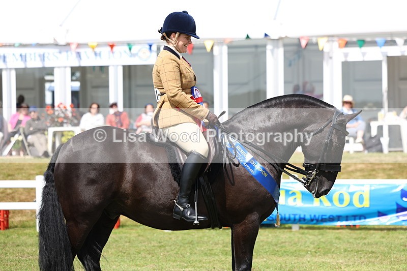 3E7A0694 - Rising Star Ridden Championship