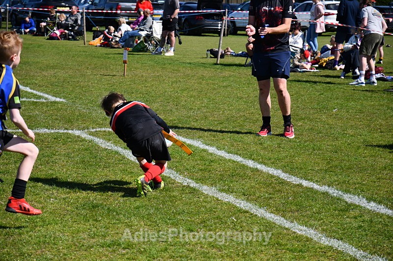  - Selby Rugby Festival 2025