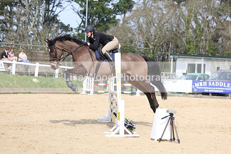 3E7A6845 - Class 4: Senior British Novice/90cm open
