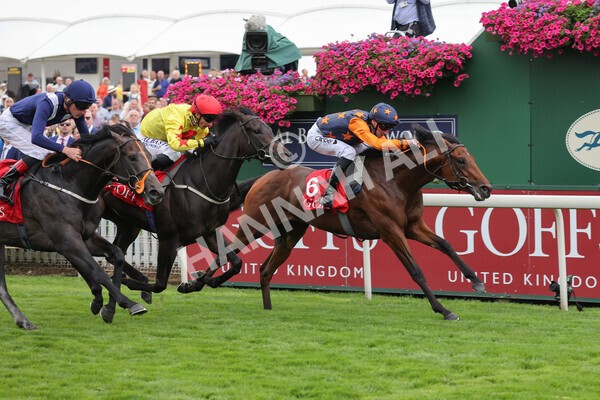 yr19082021r2-24 - Race 2 2.25pm Goffs UK Premier Yearling Stakes