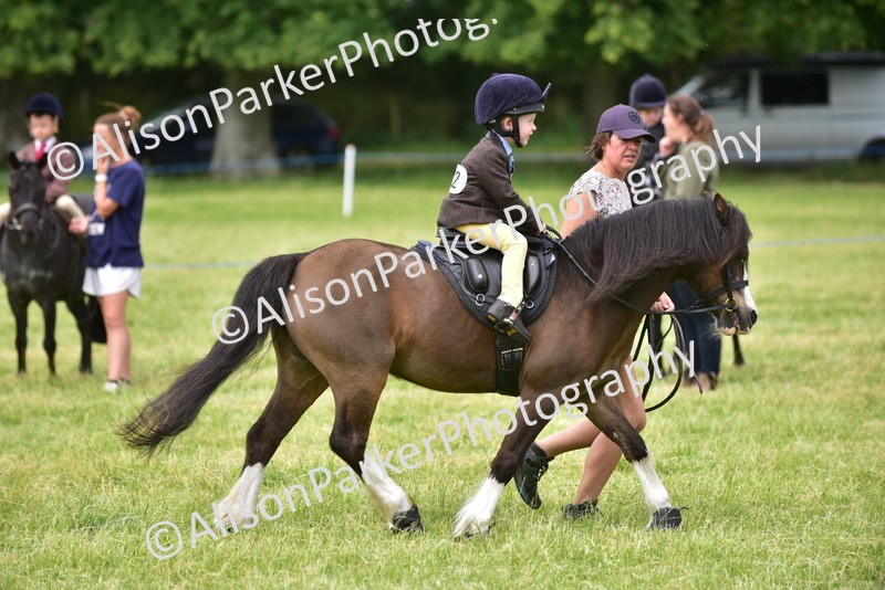 20260614-3671 - Class 15 - Prettiest Mare