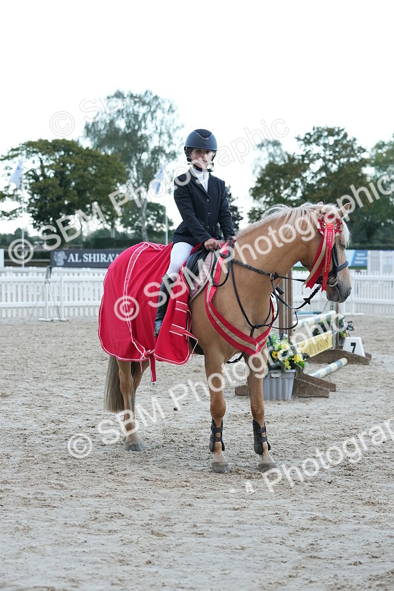 SBM_54229 - Supreme Championship 60cm 65cm