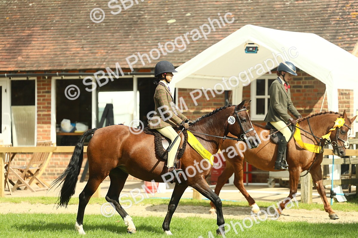 SBM_44912 - Working Hunter Pony Supreme Championship