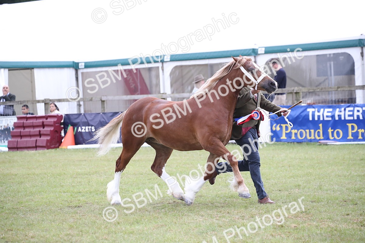 SBM_09829 - Ch 50 - Price Family Supreme In Hand