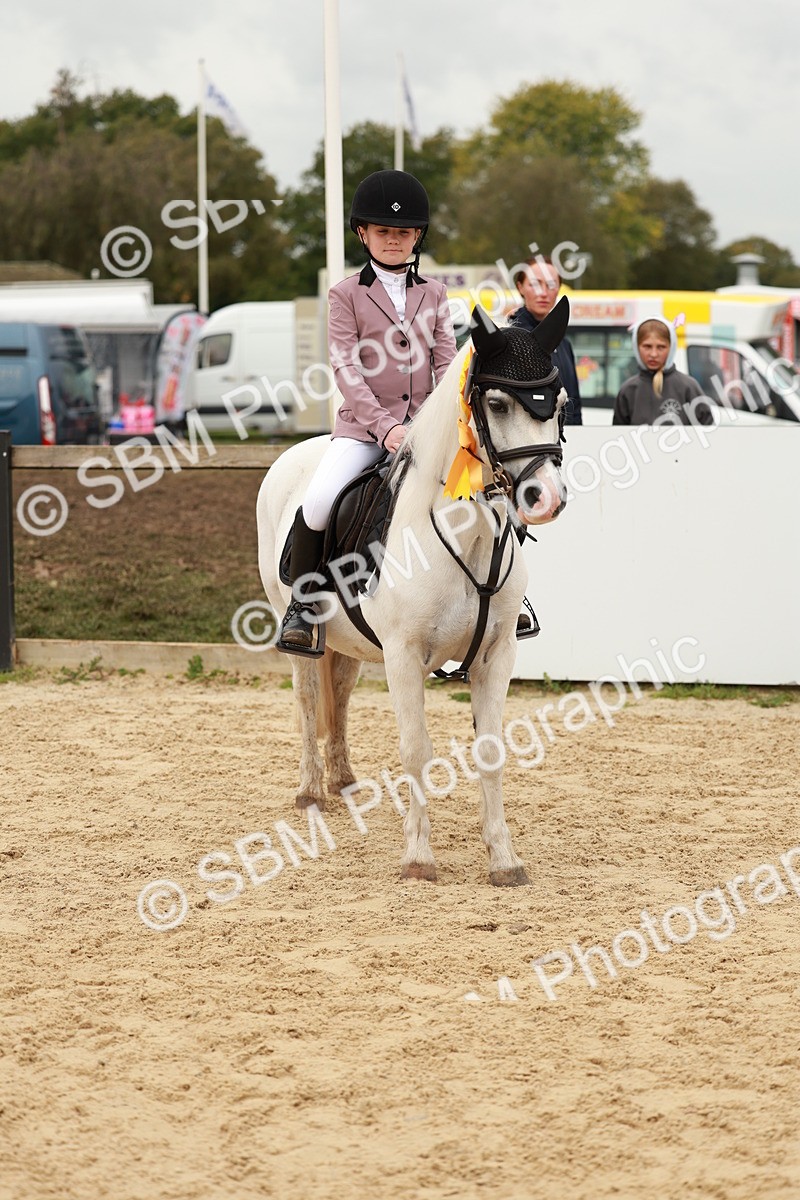 SBM_58096 - J11 - Junior Pony 50cm Championship
