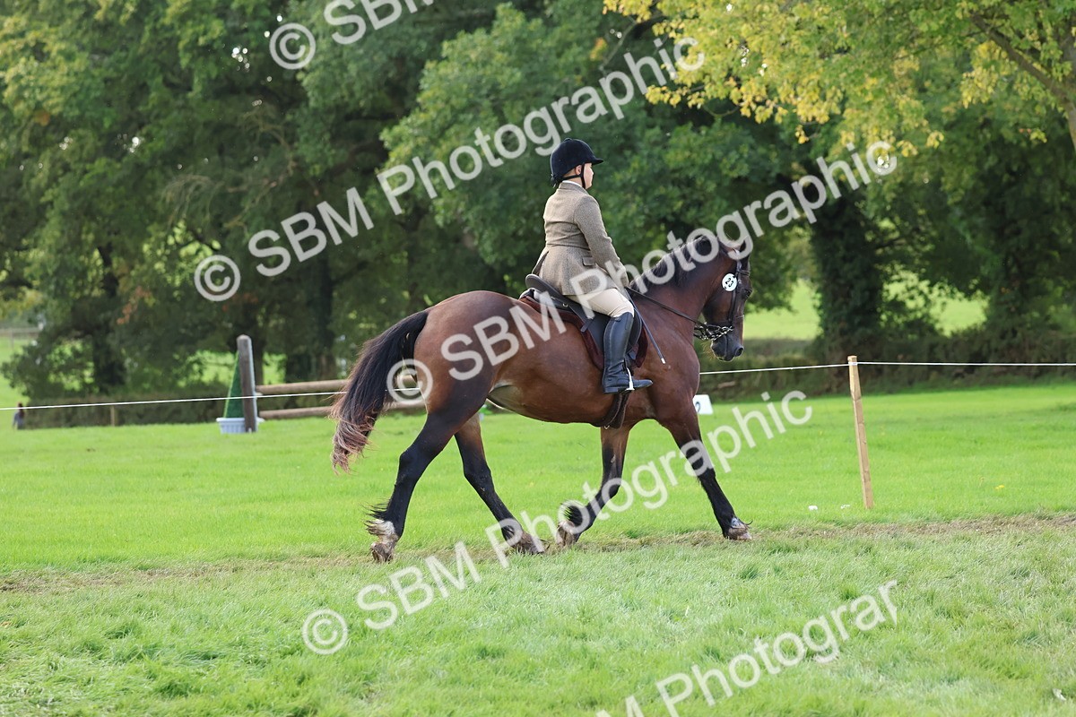 SBM_47617 - S28 - Veteran Ridden