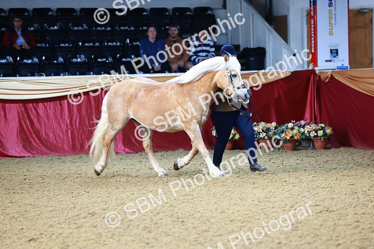 SBM_21711 - Class 901 - Supreme Final - IH  Diamond