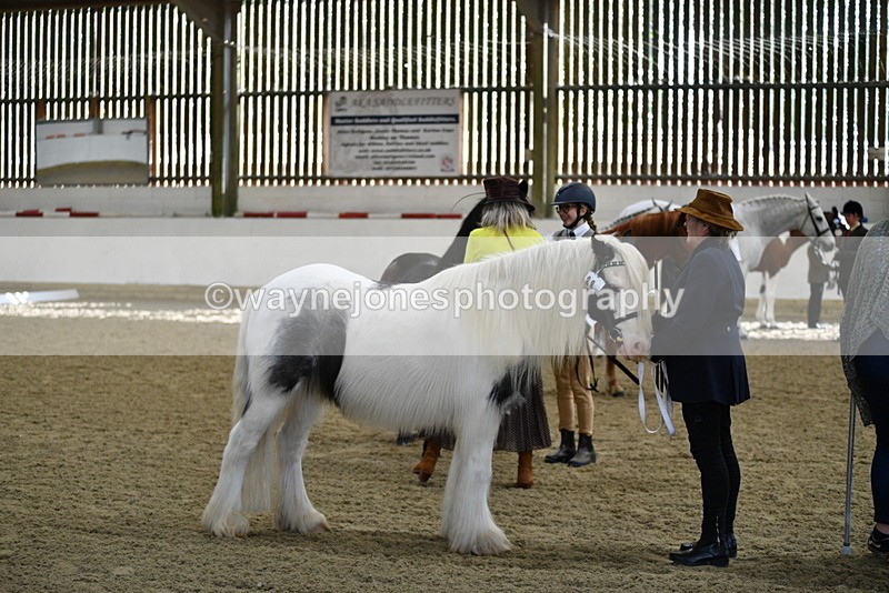 WJ5_4002 - Class 2 Best Condition In hand