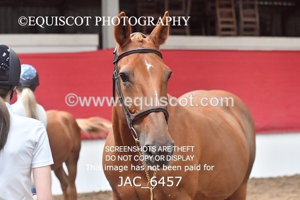 JAC_6457 - 19 Luca