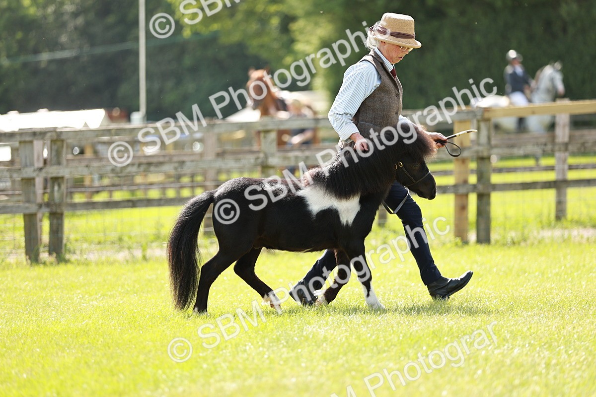 SBM_01893 - Class 14-23 - Mountain & Moorland In Hand Non Welsh